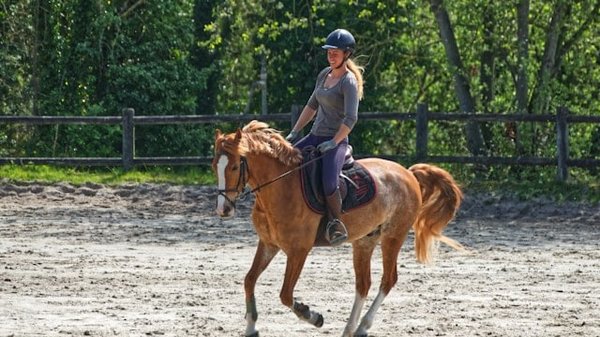 Comment choisir un gîte rural en Irlande avec des promenades à cheval incluses ?
