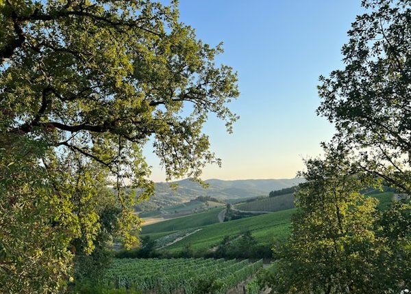 Quels sont les villages médiévaux les moins connus à explorer en Toscane ?