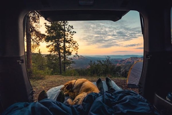 Comment assurer un approvisionnement alimentaire durable pour un camping de longue durée ?