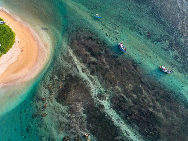 Circuit au Sri Lanka : Perle de l'Océan Indien et aventures exotiques